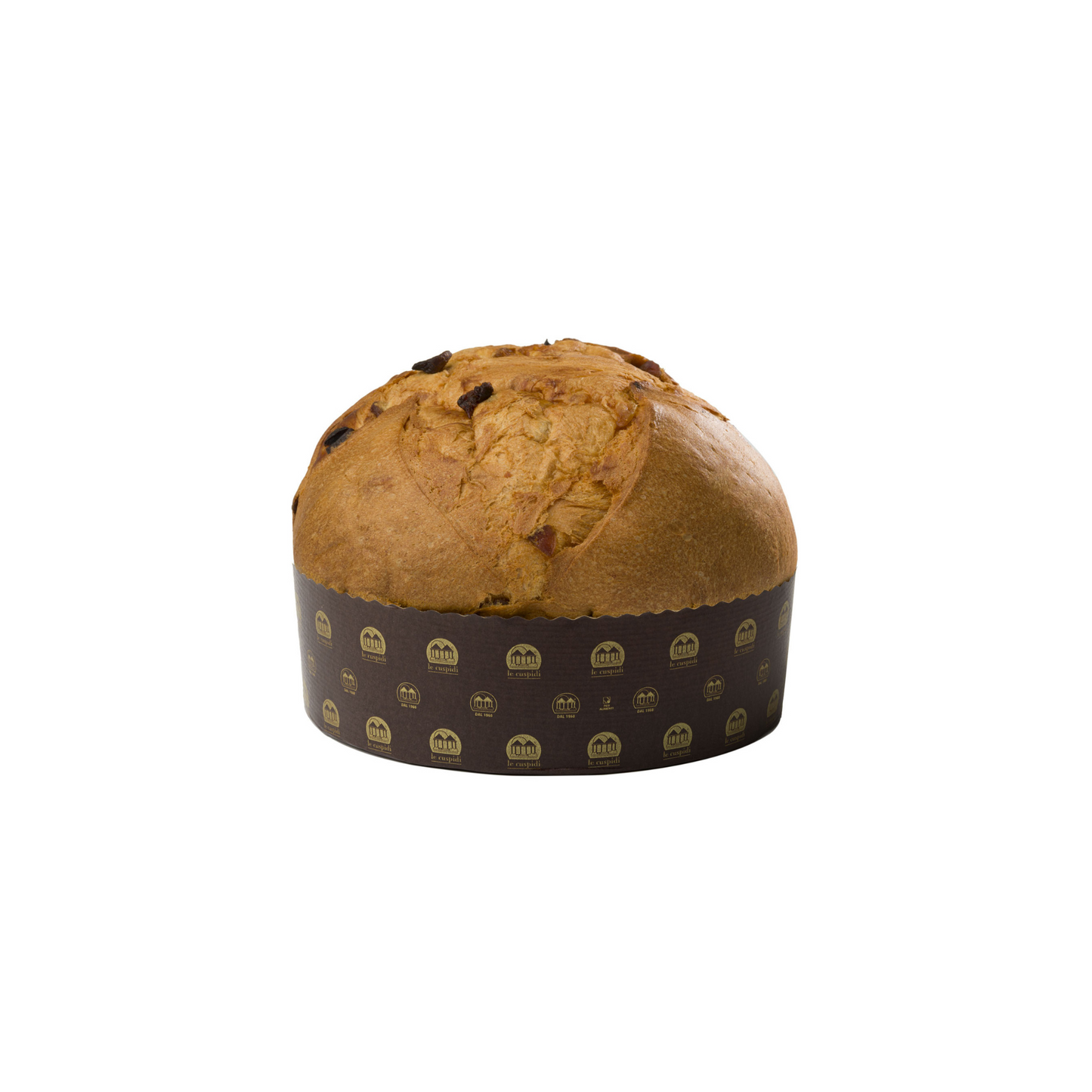 Panettone albicocca Lecuspidi